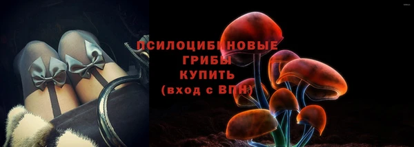 твердый Вяземский