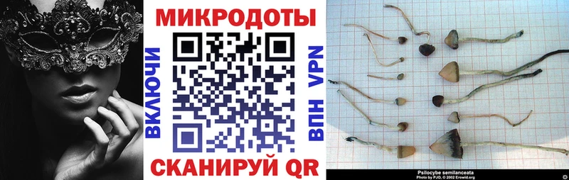 Купить закладки  Луза  Псилоцибиновые грибы ЛСД 
